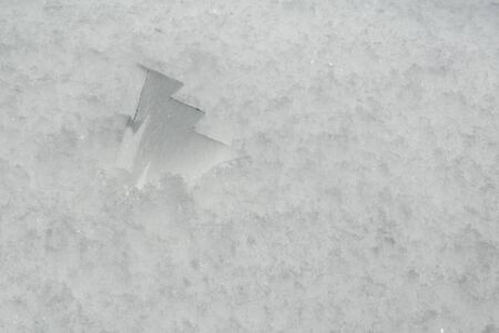 object white foam tree in snow. on black backgroundの写真素材