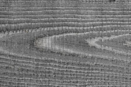 natural old wood texture grey color striped reliefの写真素材