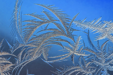New Year and Christmas abstract icy snowy background with real ice crystals macro in cold blue tonesの写真素材
