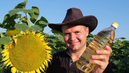Sunflower oil in the hands of a male farmer on the field.の写真素材