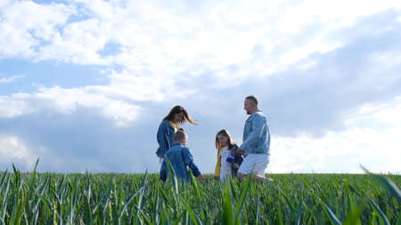 Happy family walks on a green field, they are dressed in denim clothes.の写真素材