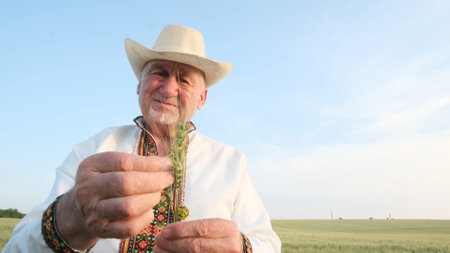 A Ukrainian peasant inspects the wheat crop, holding an ear of corn in his hand. Farmer grandfatherの写真素材