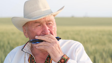An old Ukrainian grandfather in an embroidered jacket sits on a wheat field and plays the harmonicaの写真素材