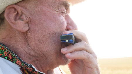 An old Ukrainian grandfather in an embroidered jacket sits on a wheat field and plays the harmonica