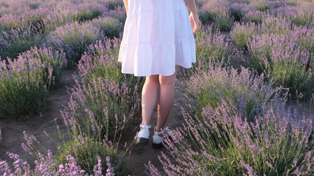 Legs of a young girl walking forward in the middle of Provence.の写真素材