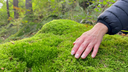 Woman enjoying in the forest. Female hand tracing green moss. Ecology. Care.の写真素材