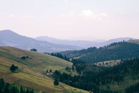 Carpathian landscape. The boundary between field and forest, view from above.の写真素材