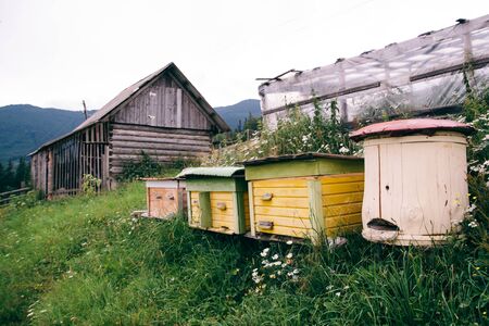 Wooden houses for bees. Nature in the mountainsの写真素材