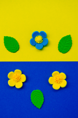 Color papers geometry flat composition background with yellow and blue tones and a still life composition with flowers.の写真素材
