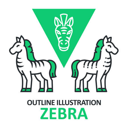 Vector outline illustration with zebra and zebras headのイラスト素材