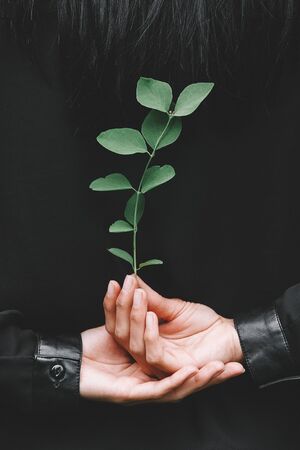 girl hand holding clover leaf in garden, back to nature, love earth, copy space.の写真素材
