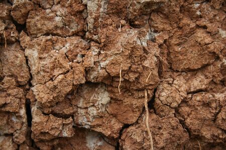 Cracked soil ground. Cracked soil texture or background. Natural abstraction. Ground background. Cracks on the groundの写真素材