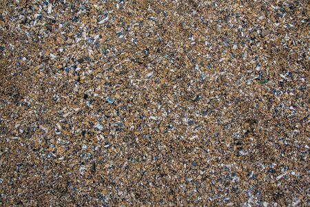 Shell and pebble stone for background textureの写真素材