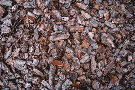 Background from coniferous tree bark pieces. Abstract background texture. Top view.の写真素材