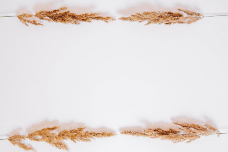 Dry grass on a white background. Greeting card concept, place for text. View from above