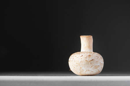 Mushrooms champignons lie on a white table on a dark background. Place for text or advertising. Design border.の写真素材