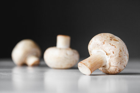 Mushrooms champignons in paper bag on a white wooden table. Place for text or advertising.の写真素材