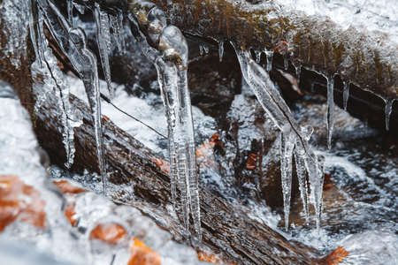 Icicles on a branch on a background of a mountain river. Icicles in winter. Icicles frost scene. Place for text or advertising.の写真素材