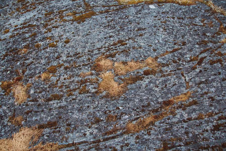 Texture of natural stone with moss and mold. Place for text or advertising.の写真素材