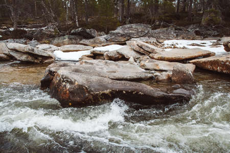 Landscape of mountain river flowing among rocks and forest. Place for text or advertising.の写真素材