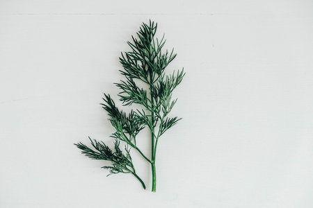 Fresh green dill on a white wooden background. Top view. Copy, empty space for text.