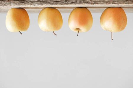 Yellow apples lie in a row on a wooden table. Copy, empty space for text.の写真素材