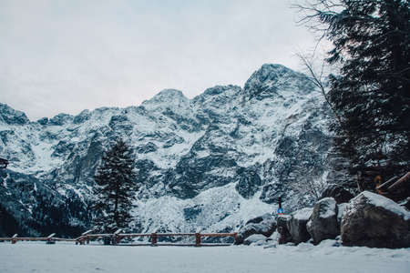 Winter landscape of snowy forest and rocks. Place for text or advertising.の写真素材