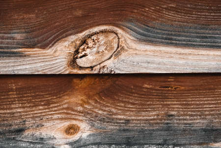 Pile of freshly cut firewood, the ends of logs as a background texture. Copy, empty space for text.の写真素材