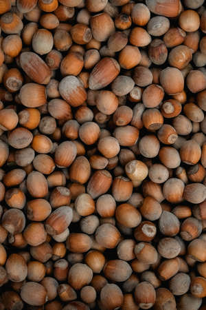 Hazelnuts as a background texture image. Top view. Copy, empty space for text.の写真素材