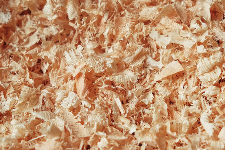 Wood shavings as background texture. Copy, empty space for text.の写真素材
