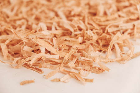 Wood shavings on white background. Top view. Copy, empty space for text.の写真素材