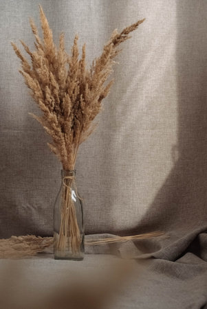 Still life of a bouquet of dried flowers in a glass bottle on a background of linen fabric. Rustic. Boho. Place for text or advertising.の写真素材