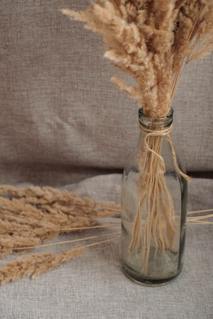 Still life of a bouquet of dried flowers in a glass bottle on a background of linen fabric. Rustic. Boho. Place for text or advertising.の写真素材