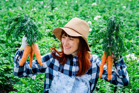 Portrait of a beautiful woman farmer holds a bunch of carrots in a straw hat and surrounded by the many plants in her vegetable garden.の写真素材