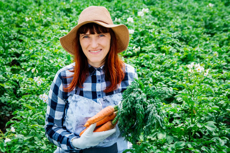 Portrait of a beautiful woman farmer holds a bunch of carrots in a straw hat and surrounded by the many plants in her vegetable garden.の写真素材