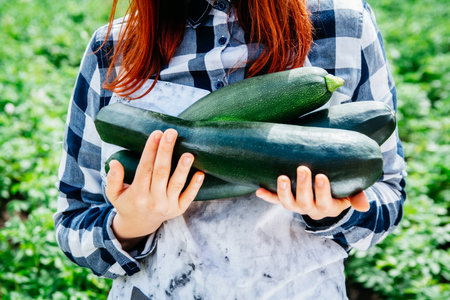 Portrait of a beautiful woman farmer holds a bunch of carrots in a straw hat and surrounded by the many plants in her vegetable garden.の写真素材