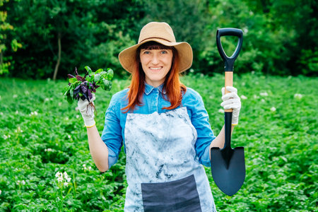 Beautiful woman farmer holds a bunch of basil and shovel in a straw hat and surrounded by the many plants in her vegetable garden.の写真素材