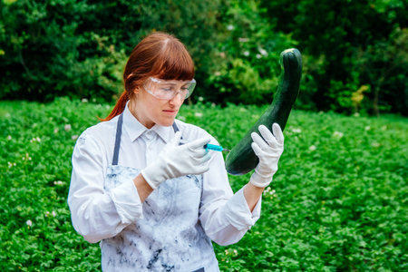 Scientist biologist in a lab coat and protective gloves introduces a blue liquid into the vegetables, yellow fresh bell pepper, against the background of green plants. Genetic breeding of vegetables.の写真素材