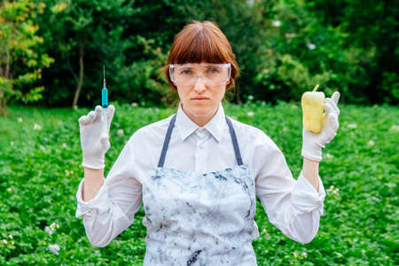 Scientist biologist in a lab coat and protective gloves introduces a blue liquid into the vegetables, yellow fresh bell pepper, against the background of green plants. Genetic breeding of vegetables.の写真素材