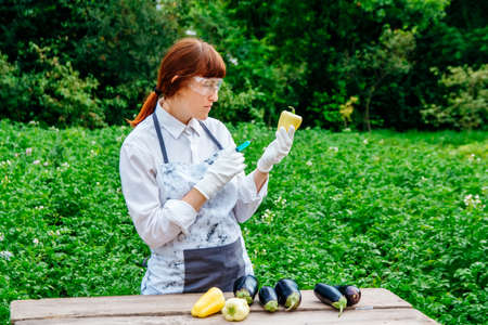 A scientist biologist in a lab coat and protective gloves introduces a blue liquid into the vegetables, tomatoes, against the background of green plants. Genetic breeding of vegetables.の写真素材