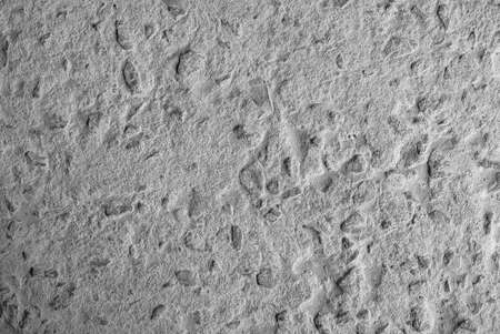 Gray concrete surface as a background texture.の写真素材