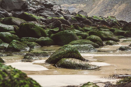 Coastal rocks and stones covered with algaeの写真素材