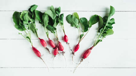 Fresh bunch of radishes on a white wooden background.の写真素材