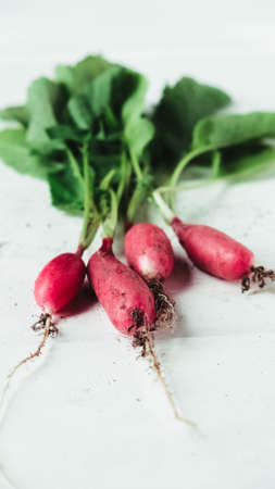 Fresh bunch of radishes on a white wooden background.の写真素材