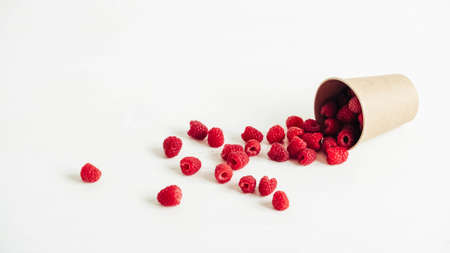 Fresh red raspberries in a paper cup on a white table background.の写真素材