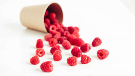 Fresh red raspberries in a paper cup on a white table background.の写真素材