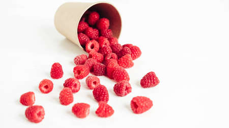 Fresh red raspberries in a paper cup on a white table background.の写真素材