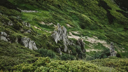 Beautiful mountain landscape of the Carpathians, green mountains and Shpytsi cliffs.の写真素材