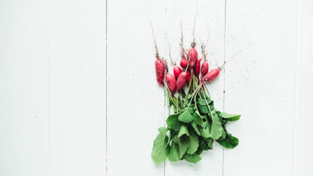 Fresh bunch of radishes on a white wooden background.の写真素材