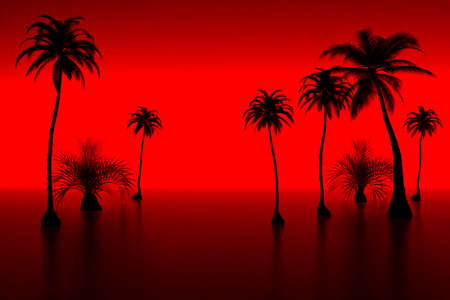 3d model palm-tree and sunset. made in 3ds maxの写真素材